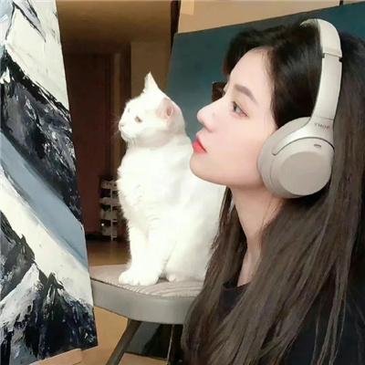 反斗星玩转绿林