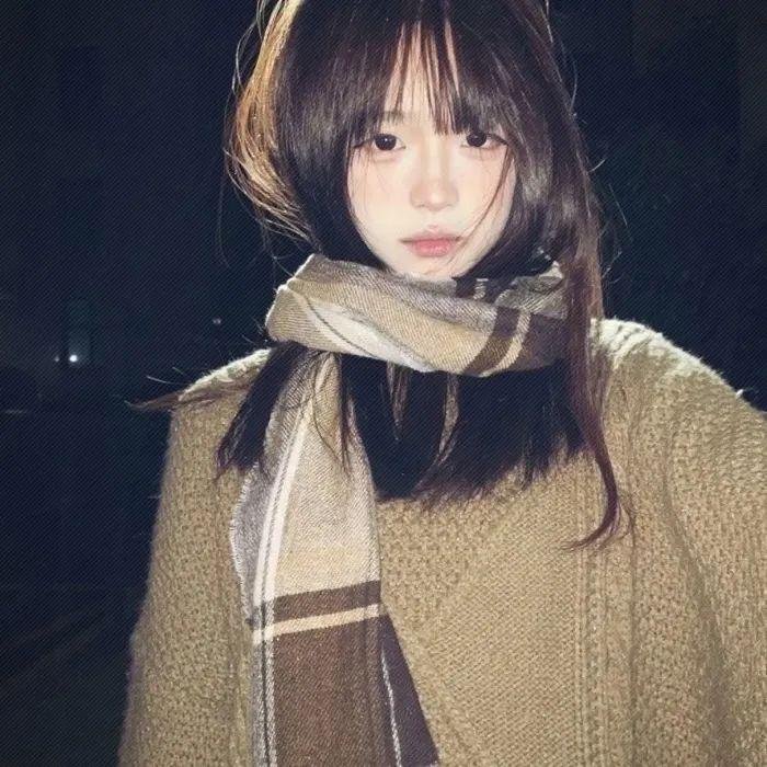 企鹅家族